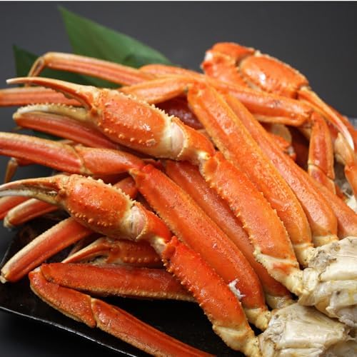 Amazon.co.jp: 北海道きたれん 特大 ボイル ズワイガニ 2kg (1個
